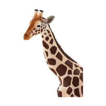 Жираф, XL