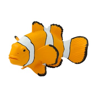 Рыба Амфиприон-клоун, XL