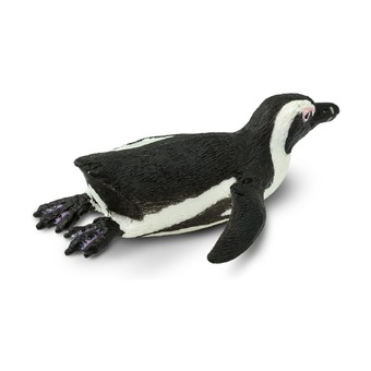 Южноафриканский пингвин