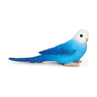 Синий волнистый попугайчик
