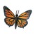 Бабочка Монарх XL